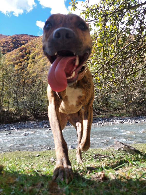 09ED38FB-BD6E-4524-AFF6-357D2B340AD1