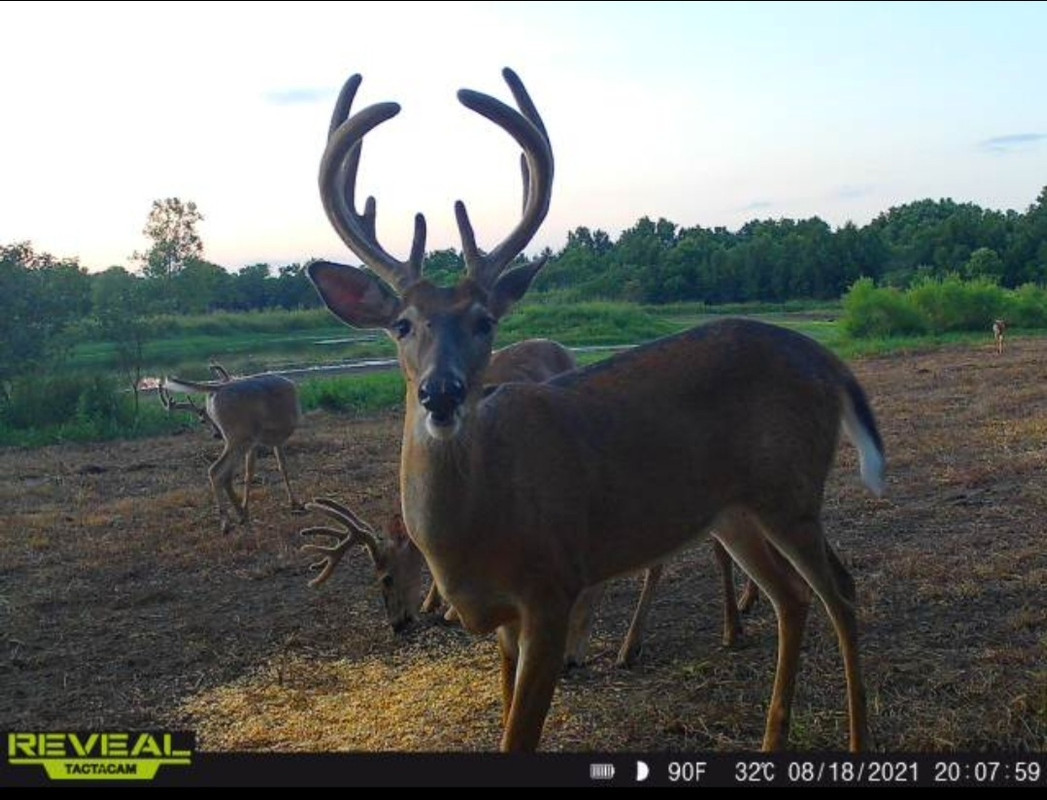 Screenshot_20210819-224750_Tactacam Reveal