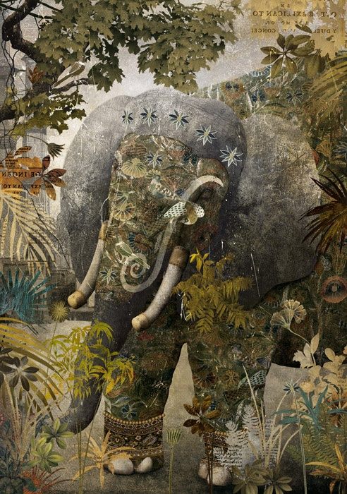 main_qimg_ff8b26f031b14d5b347ce1fff8514fdd_c