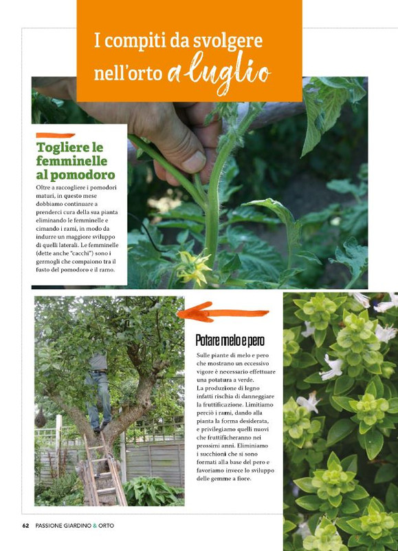 Pass Giar e Orto Giu 2025 (5)