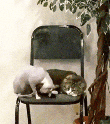 57b.gif