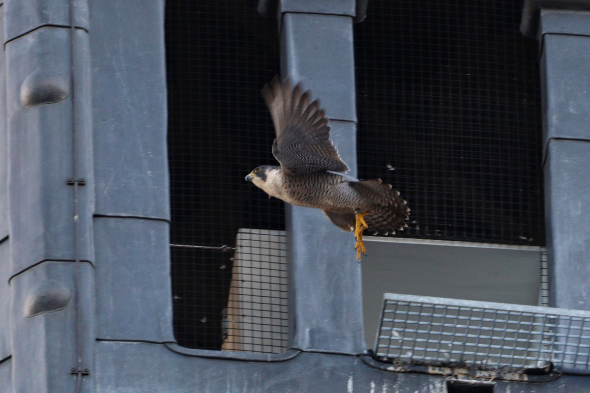 9A474861-CEEC-494D-A193-19228E766CE8