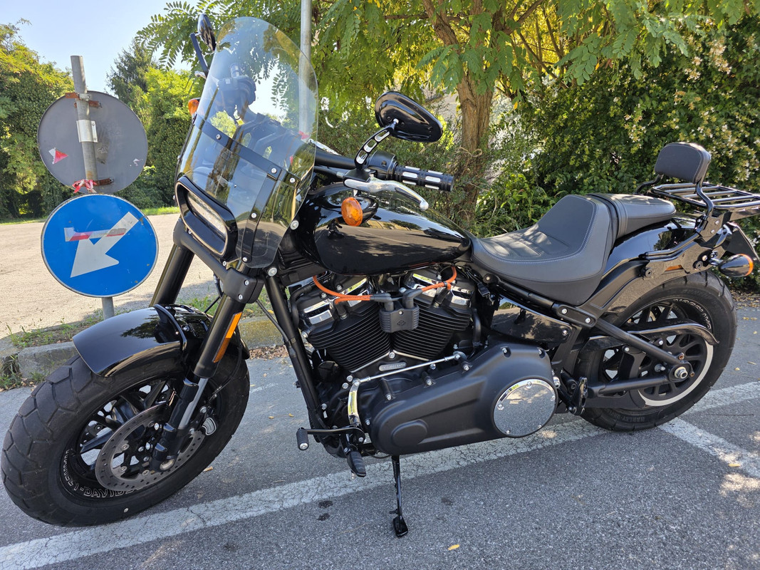 FatBob2