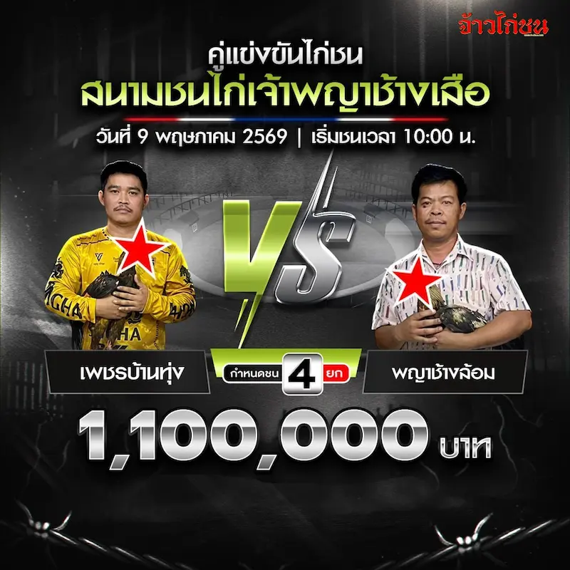 เพชรบ้านทุ่ง พบ พญาช้างล้อม โปรแกรมไก่ชน สนามชนไก่เจ้าพญาช้างเสือ วันที่ 9 พฤษภาคม 2569
