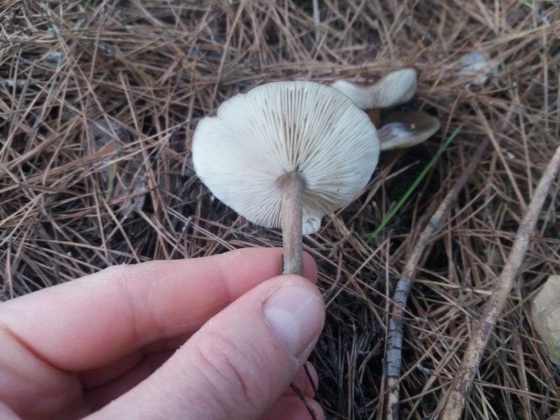 14A4B8E9-60DC-4C32-AA4A-588CCB1A745C