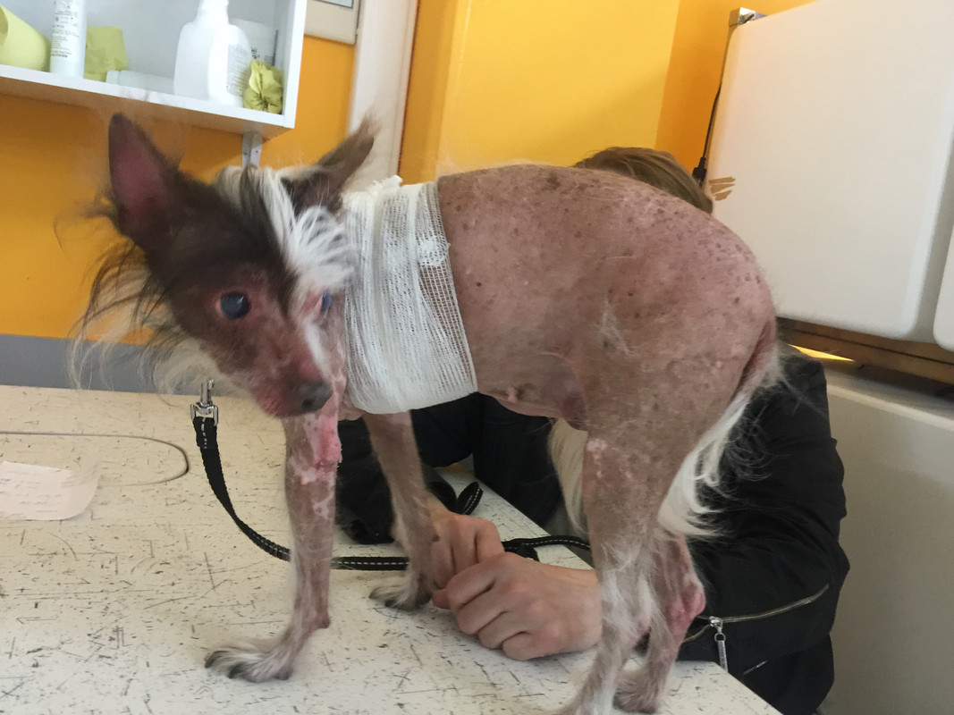 AEA7262F-B8BB-4425-B60E-2C670521ABAE