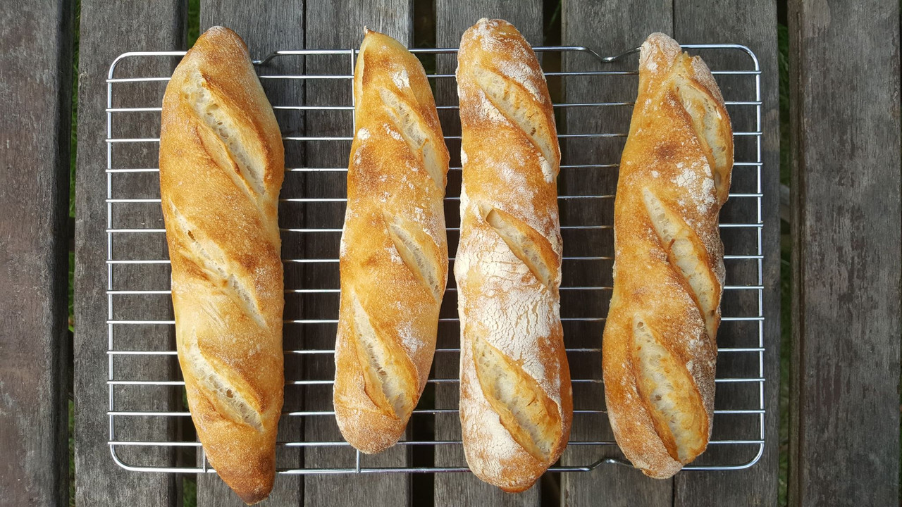 69398270-389129361986247-856268483698307