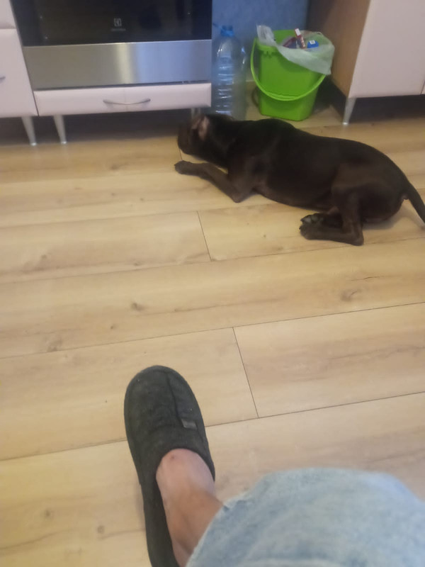 A4C020E4-9463-486D-93AD-DC11644A6056