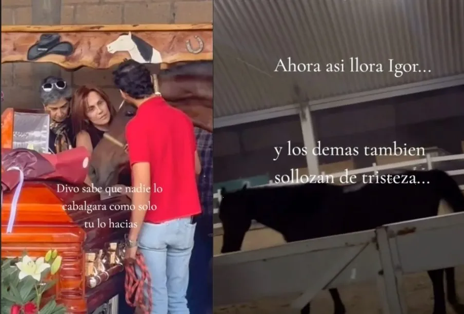 Tras la muerte de Elena Larrea, filtran video de su caballo llorando inconsolable