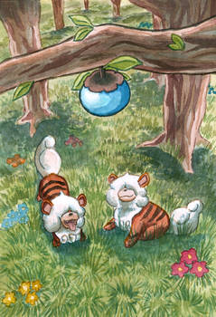 apricorn-woods-by-pitchblackespresso-dep