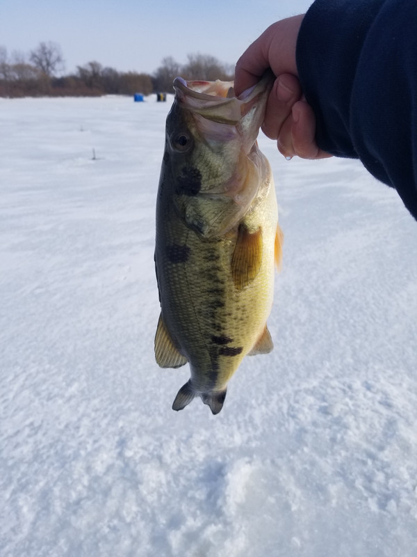 20180115_135114