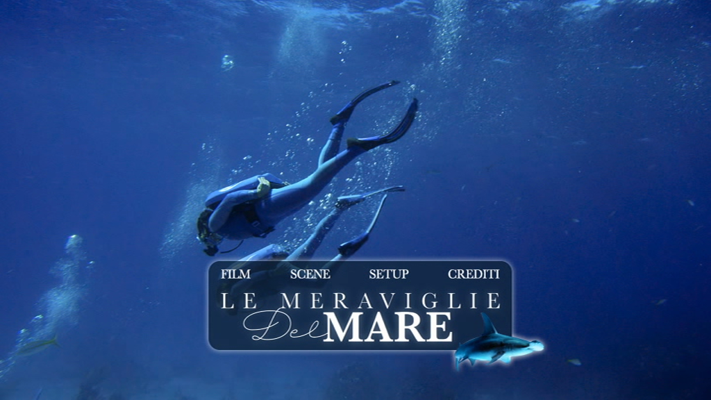 vlcsnap-2018-09-30-01h37m58s022