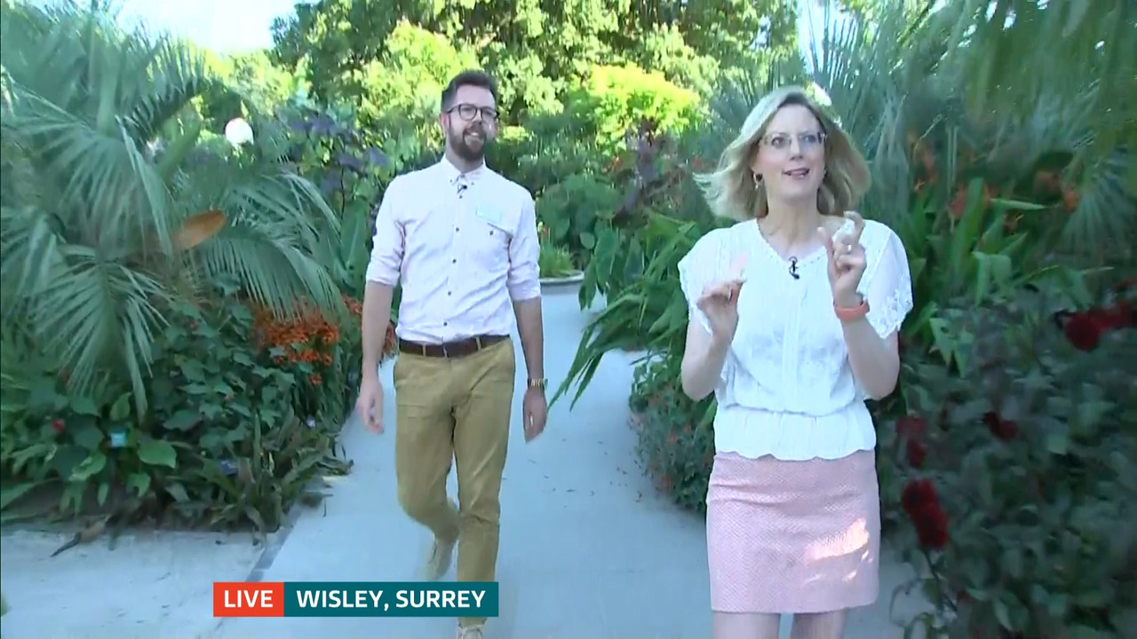 ITV News London_20220810_18001830.ts_snapshot_22.51.633