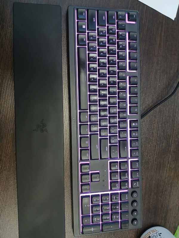 photo_5425074269794198116_y