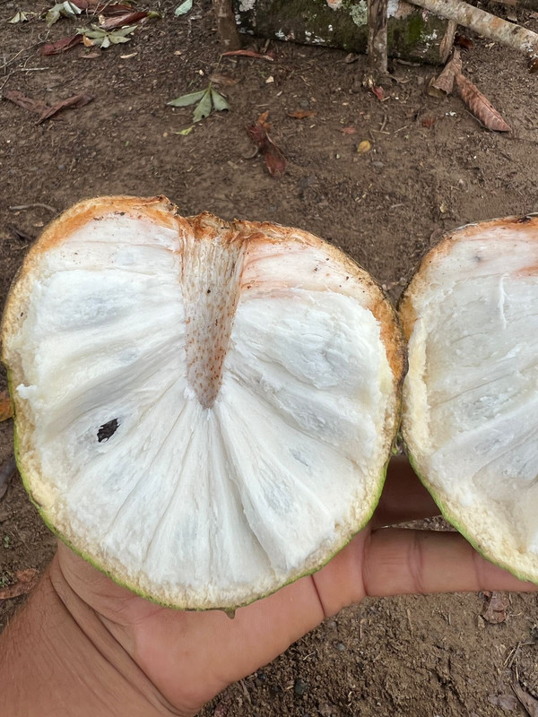 WhatsApp Image 2022-02-15 at 10.09.24 (1)