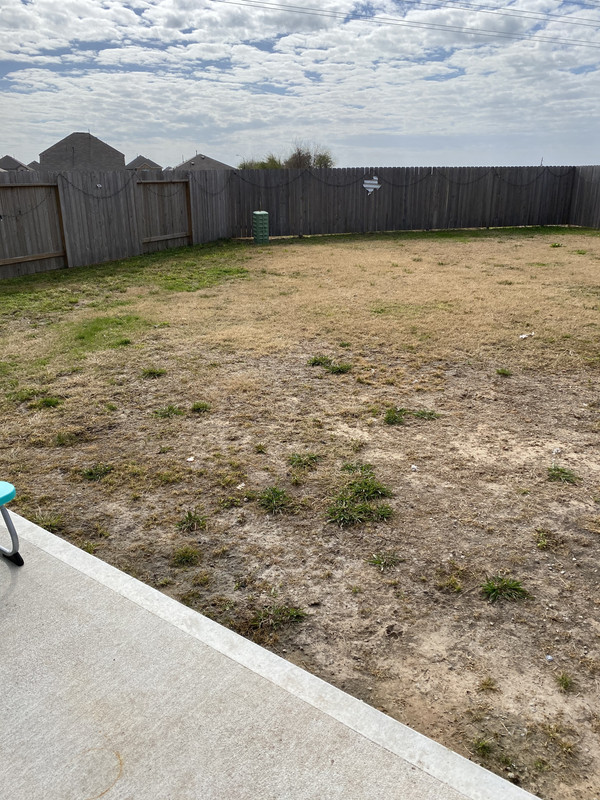 E2486F86-B4B8-4AF1-A740-3E603DDE01DA