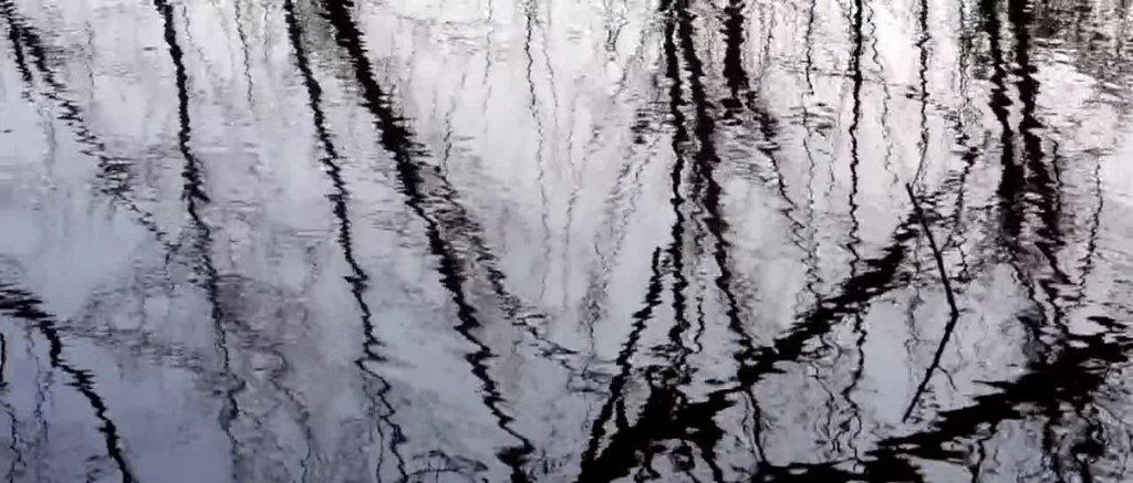 [Image: 8bomf5yh4t0f.jpg]