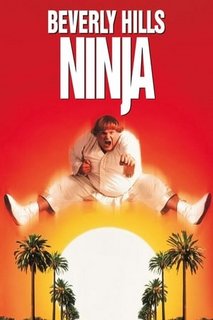 Beverly-Hills-Ninja-1997-1080p-WEBRip-x2