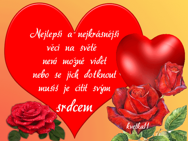 Nejkr-sn-j-v-ci.gif