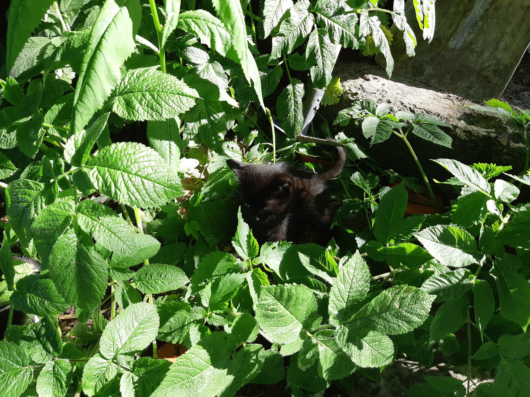 07.25 - 20220618_165038 (PiTT)