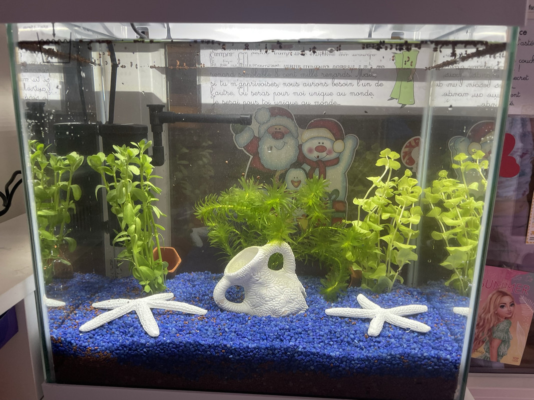 744A82A9-98C0-4354-9F81-C59277759A20