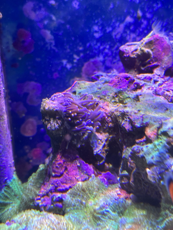 1DC8FDAC-7CC1-4FBA-9FC0-989C89FA29CB