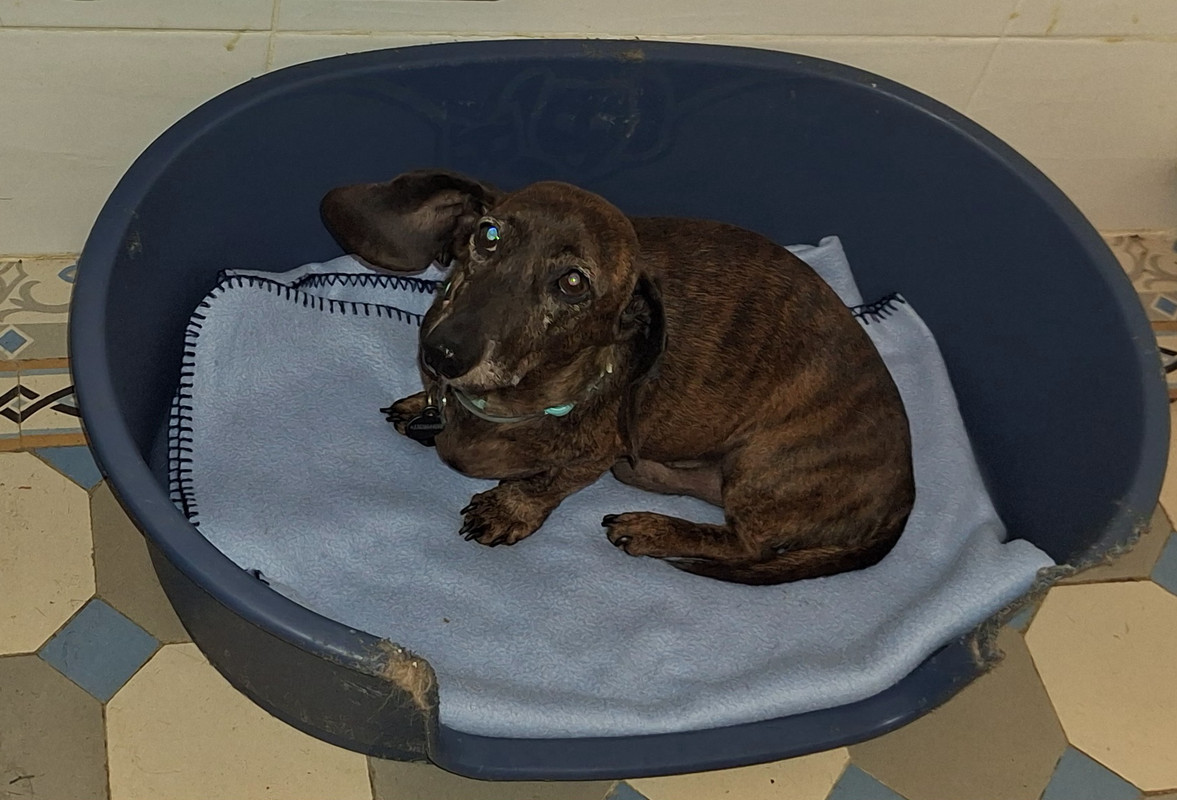 [Image: 20240910-114100.jpg]