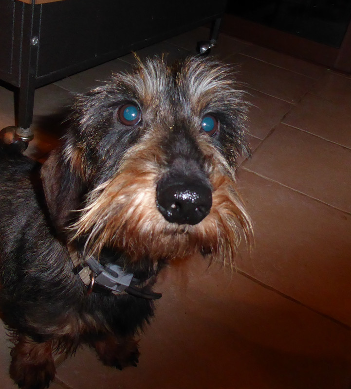 [Image: P1050964.jpg]