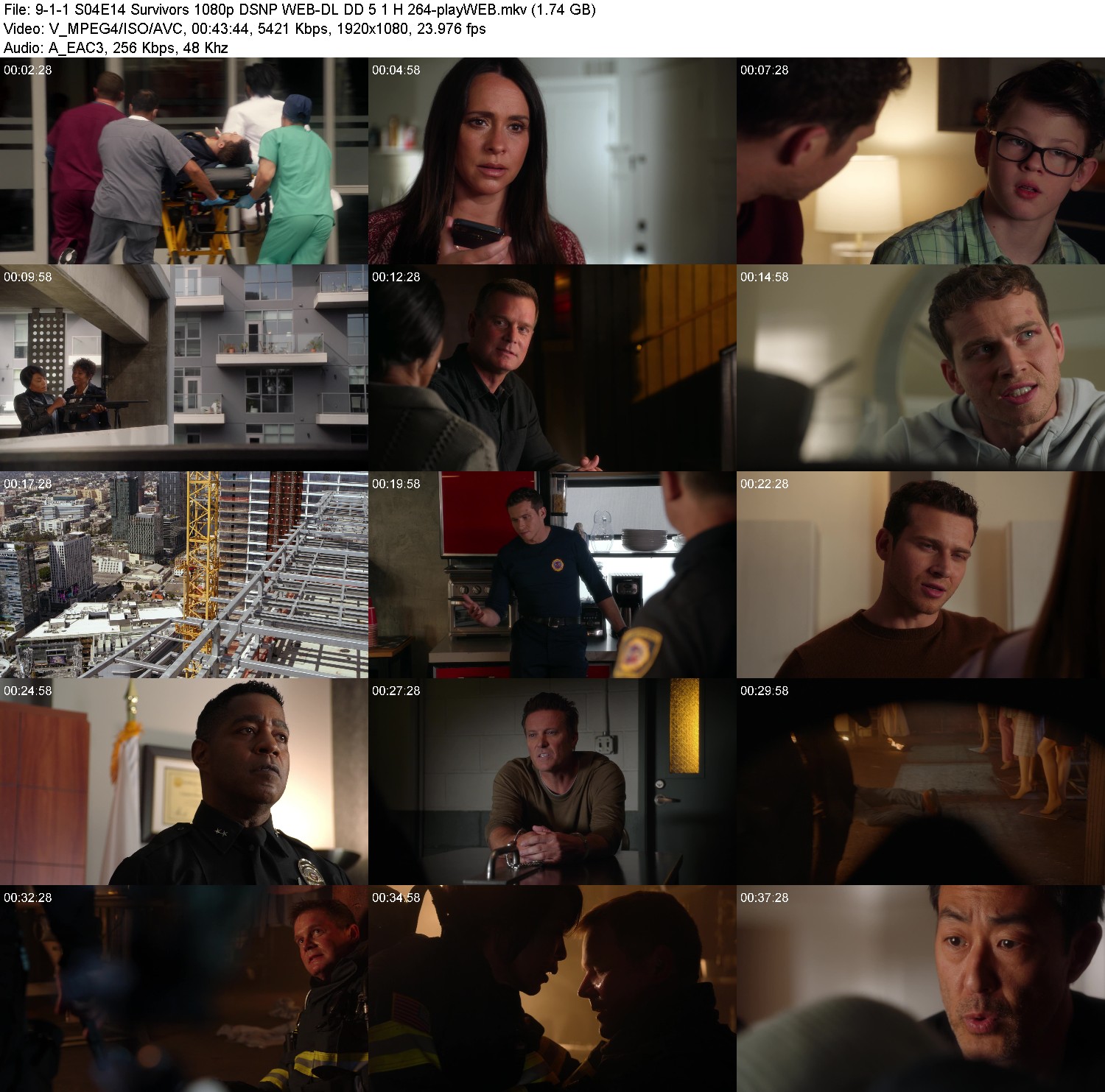 [Image: d48yqel0wet7.jpg]