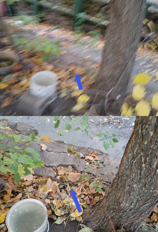 Collage1760446038955_edit_89614151598157