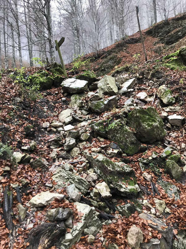 9DABE38C-7F90-4069-828F-ED1C057E902C