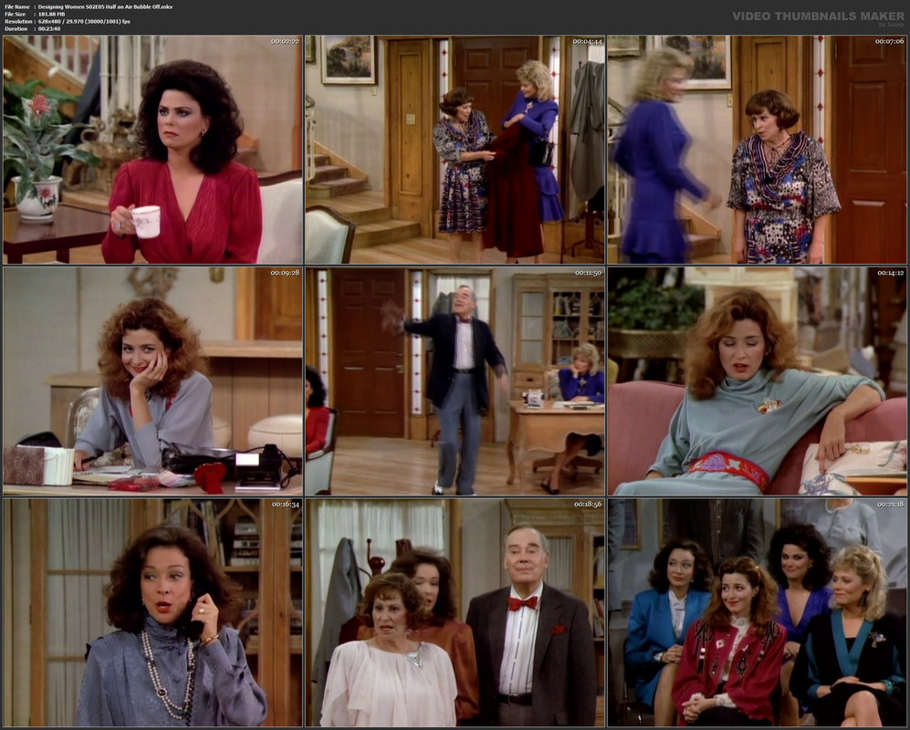 Designing Women S02E05 Half an Air Bubble Off.mkv