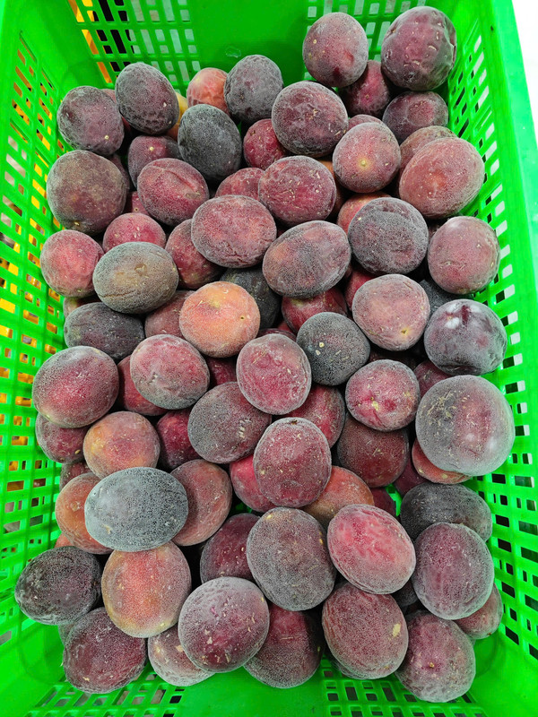 Frozen Passion Fruit