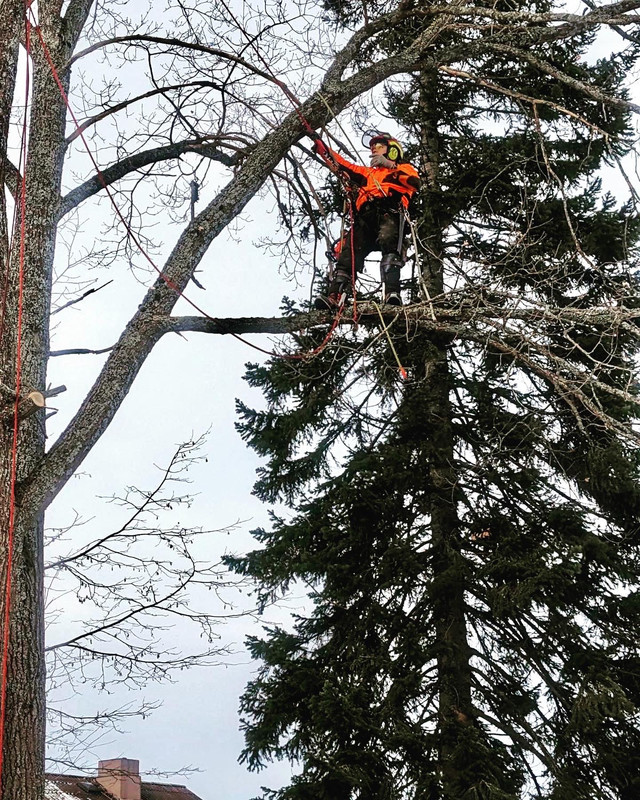 64613D7E-B2F0-4A81-A77A-059773C82BBB