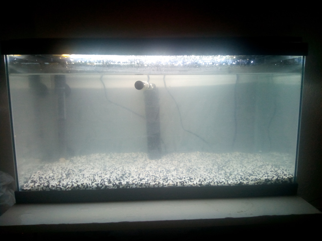 IMG_20211231_192803[1]