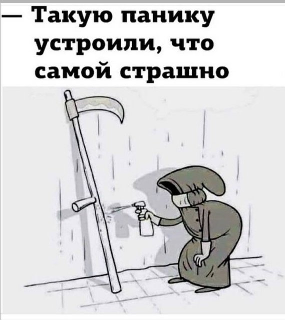 https://i.postimg.cc/qBWTGZYw/e8c1b713513f44da2c3e00187613b6a0.jpg