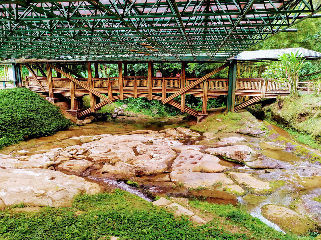 Colombia por libre en 18 días - Blogs de Colombia - Estrecho río Magdalena, Parque de San Agustín y ruta hasta Cali (10)