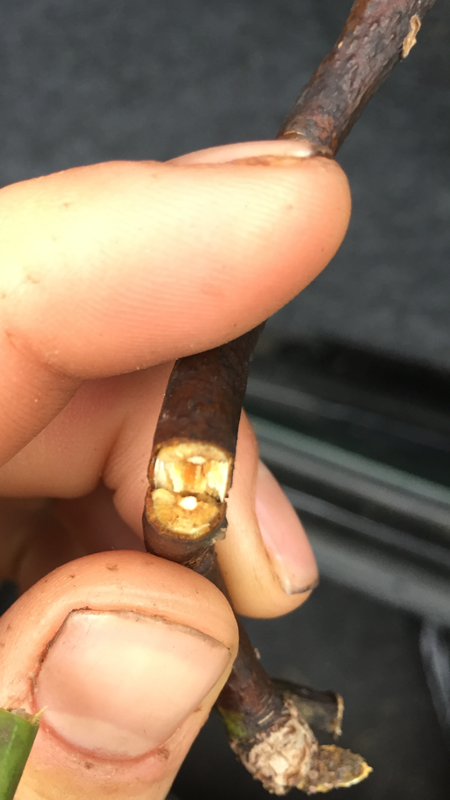 C6948FDF-AD52-4B55-8552-7A3F71270459