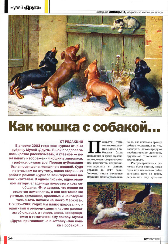 Друг кошек 2007-03-23
