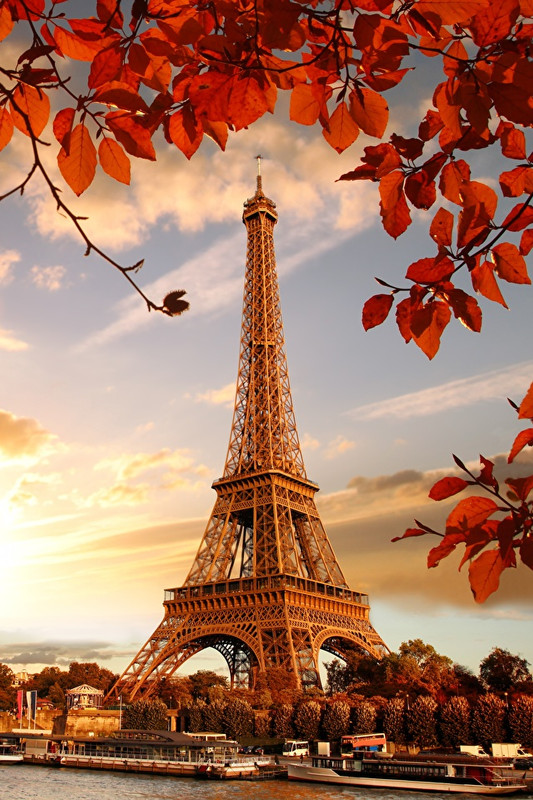 France-Autumn-Eiffel-Tower-Paris-Foliage-539567-640x960.jpg