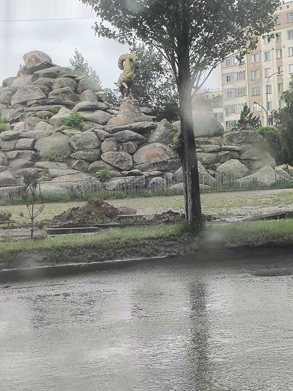 IMG_20250517_121206265_HDR_AE