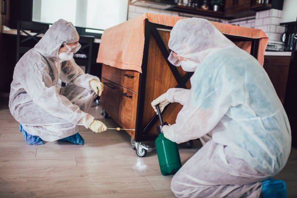 Kissimmee Exterminator
