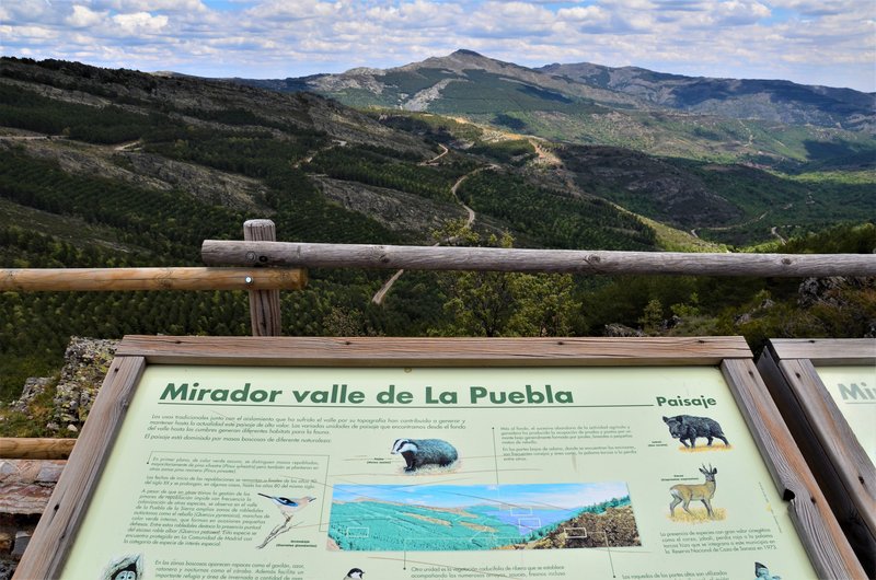 EMBALSE PUENTES VIEJAS, FORTINES Y ANIMALES-24-5-2014-MADRID - Paseando por España-1991/2016 (41)