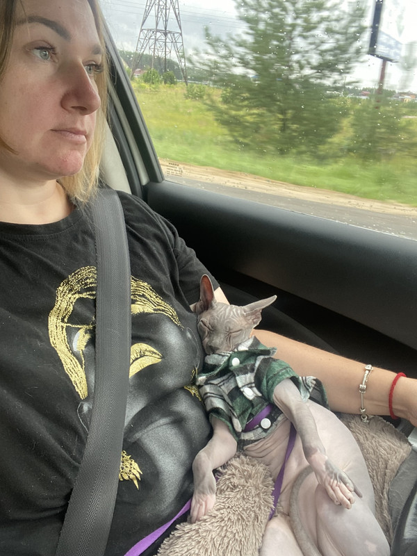 6999A30E-05D2-4484-9872-CE1EEE9308E3