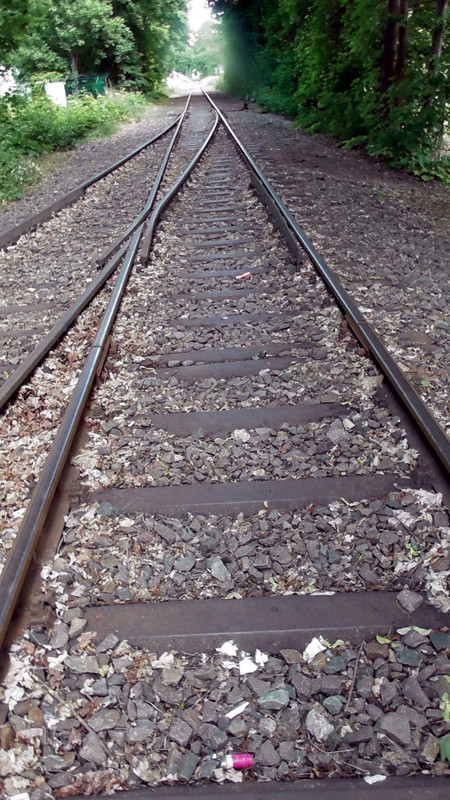 S1470181