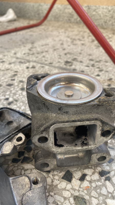 8178B23C-7891-4BD0-AD05-82C9E2356817