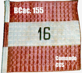 BCac155