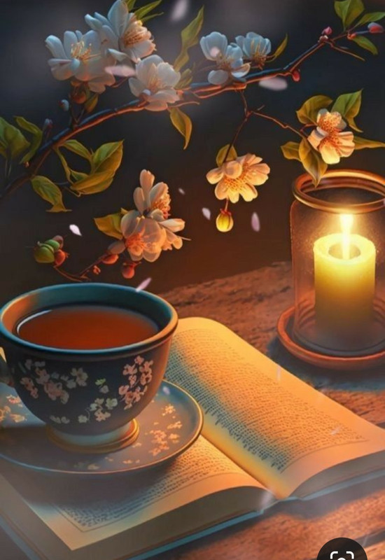 Screenshot_20240415_174130_Pinterest