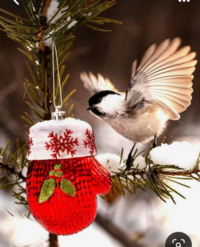 Screenshot_20231121_230117_Pinterest