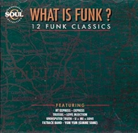 VA   What Is Funk? (1994)